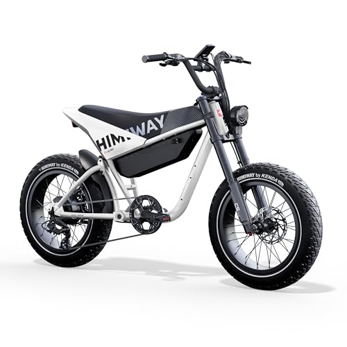 Himiway C5 Electric Bike 80 Miles 48V 20Ah Battrey, 750W Motor, Torque Sensor, 7-Speed, 20" x 4" Fat Tire Electric Bike, 20+MPH, 330LBS Payload