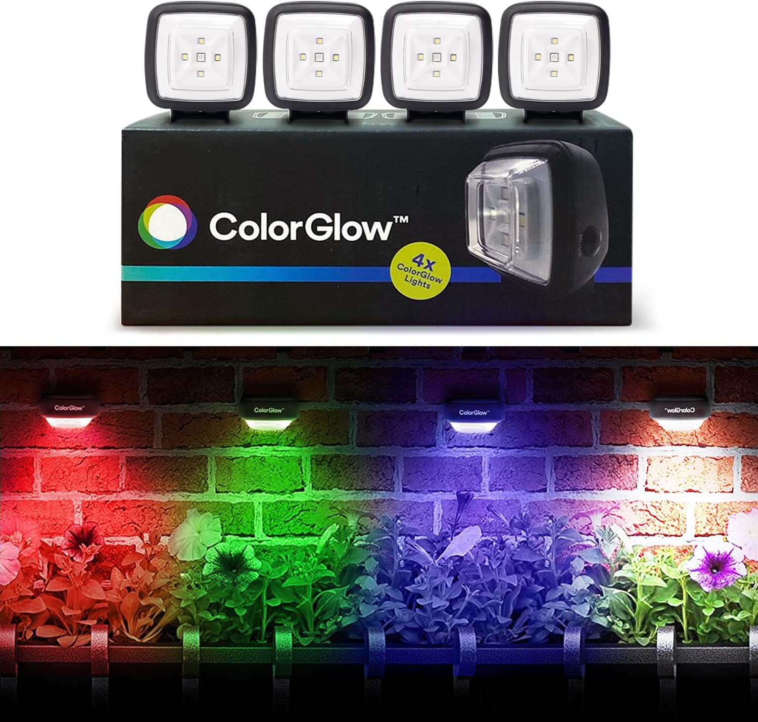 BRIGHTOLOGY - Color Glow Solar Outdoor Lights (4 LED Lights) - Waterproof Outdoor Solar Lights Outdoor - Powered Rainbow