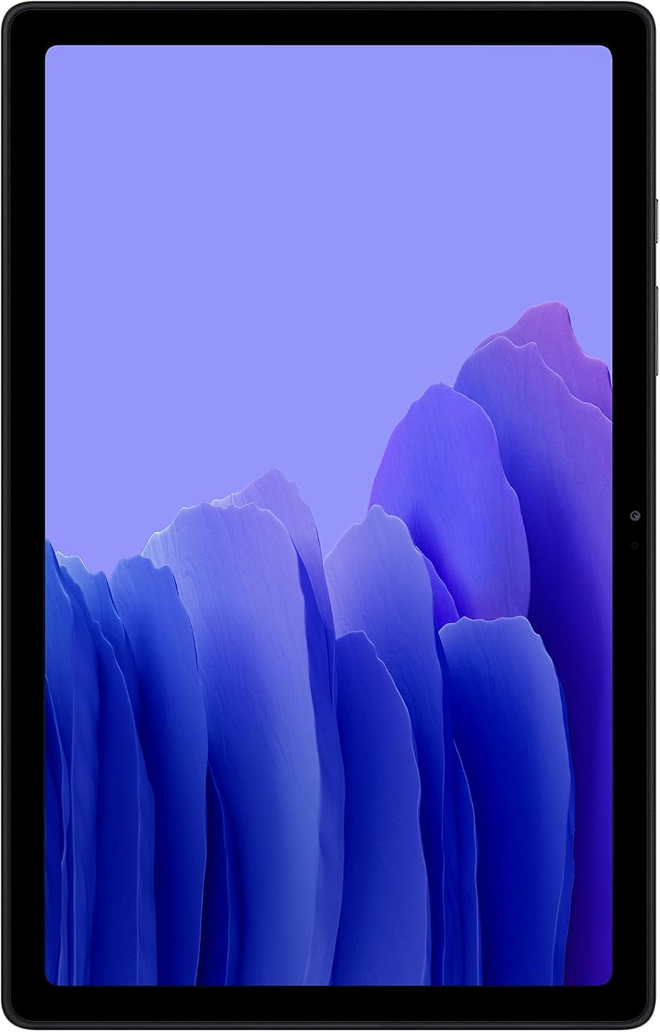 Samsung Electronics A7 Tablet 10.4 Wi-Fi 64 GB Gray (Renewed)