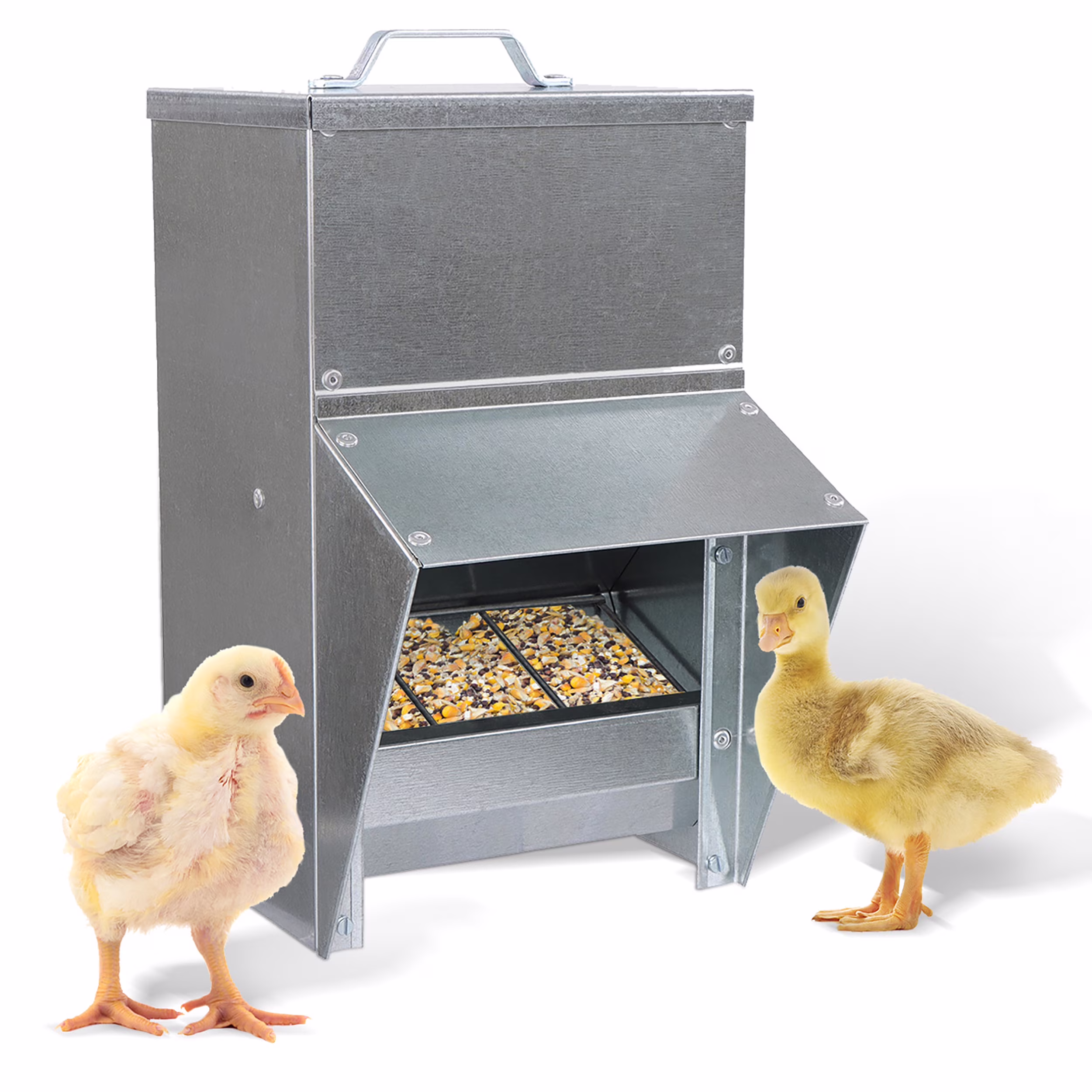 Rural365 11.5lb Capacity Galvanized Chicken Feeder Weatherproof Coop Dispenser