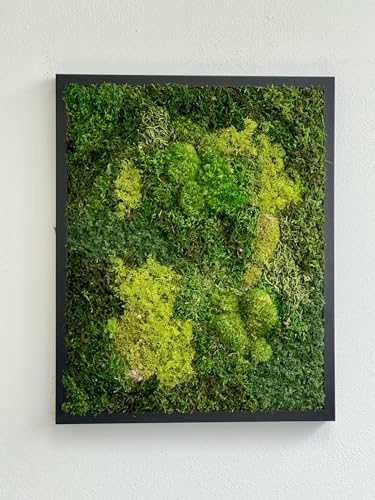 Unique Moss Art - Live Preserved Moss Wall Art - Moss Wall Wooded frame Art - Custom made - Home Decor - Well Decor - Office Decor. Handmade