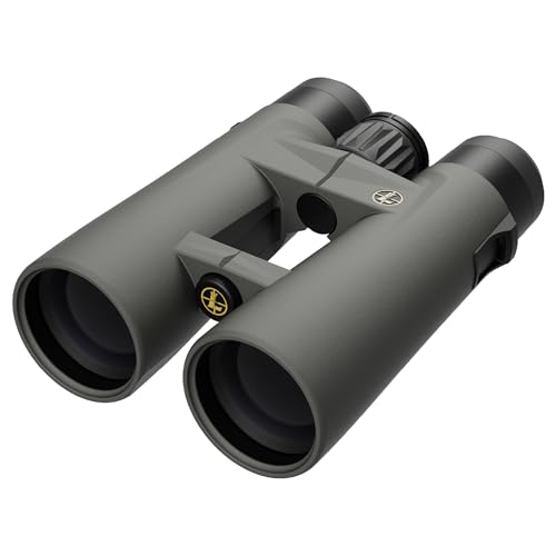 Leupold BX-4 Pro Guide HD Binoculars, 10x42mm Gen 2 (184761)