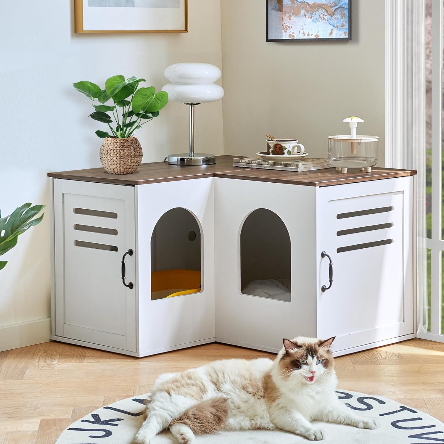Corner Litter Box Enclosure for 2 Cats, Hidden Litter Box Furniture, Litter Box Cabinet with Double Room, Indoor Cat House End Table