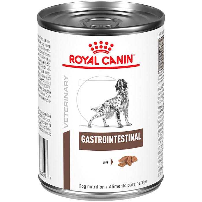 Royal Canin Veterinary Diet Gastrointestinal Loaf Canned Dog Food - Pet Supplies online store