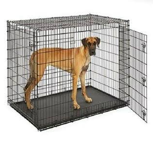 Bestpet Extra Large Dog Kennel Crate Folding Pet Cage 48x22 Metal 2 Doors Tray Pan XXL XL