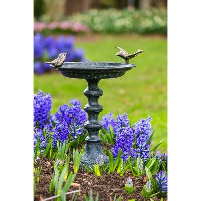 Pedestal Cast Iron Birdbath August Grove