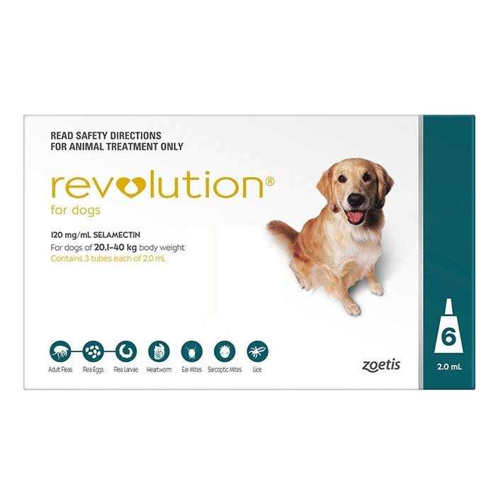 Revolution Teal 6 Pack - Pet Supplies online store