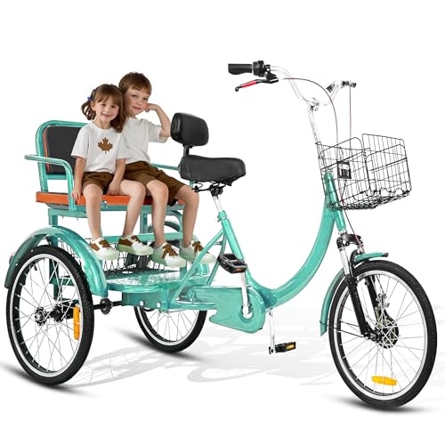 MOOITZ Adult Tricycle, 20 Inch 3-Wheel Bikes, Trike for Adults with Seat, Low Step-Through Cruiser Bike with Front and Rear Baskets