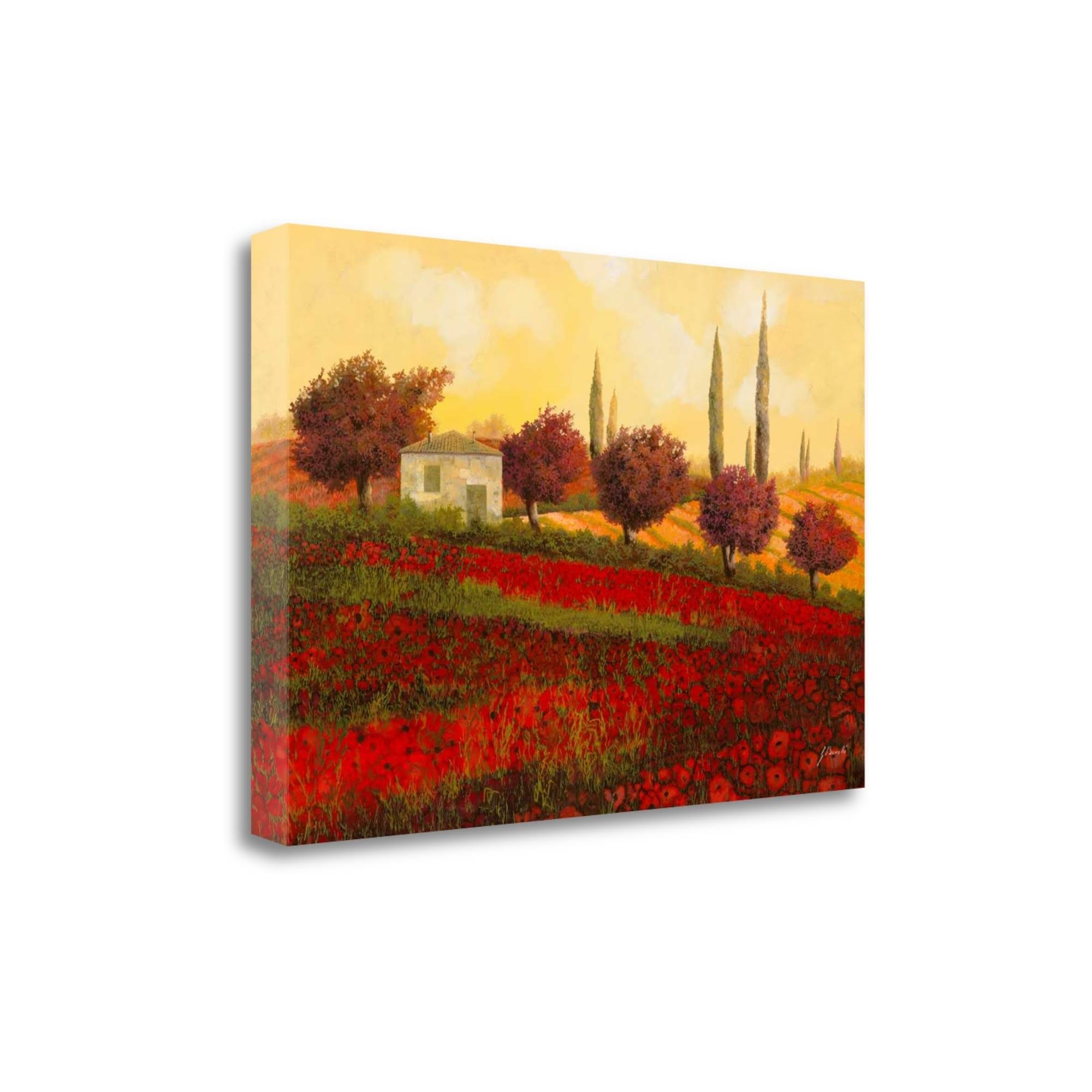 Tangletown Fine Art Papaveri Toscana II by Guido Borelli