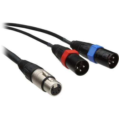 Remote Audio 5-Pin Stereo XLR Female to Dual XLR Male Y-Cable - 25& 3pin M 5Pin F, Length 25& 7.6 M, 25& CAXSTE25