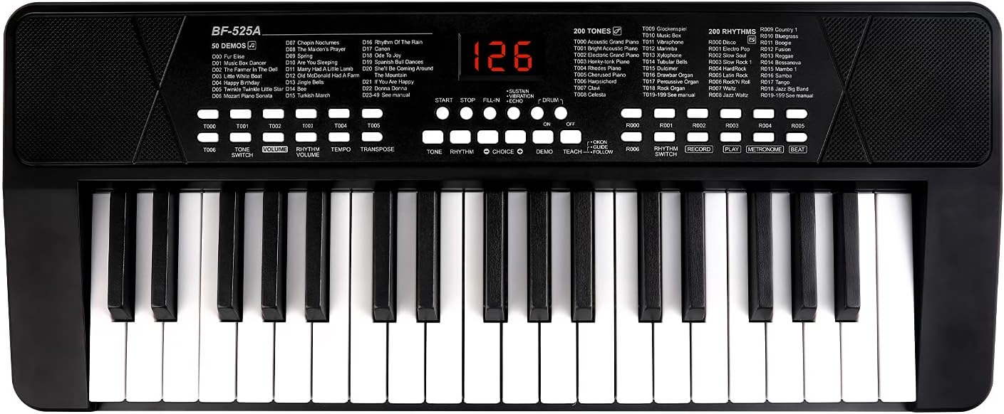 M SANMERSEN Piano Keyboard for Beginners