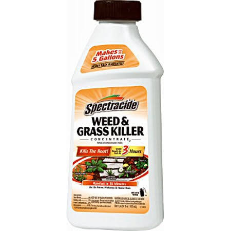 Spectrum HG-66001 Spectracide Killer Weed/Grass Conc 16 Ounce