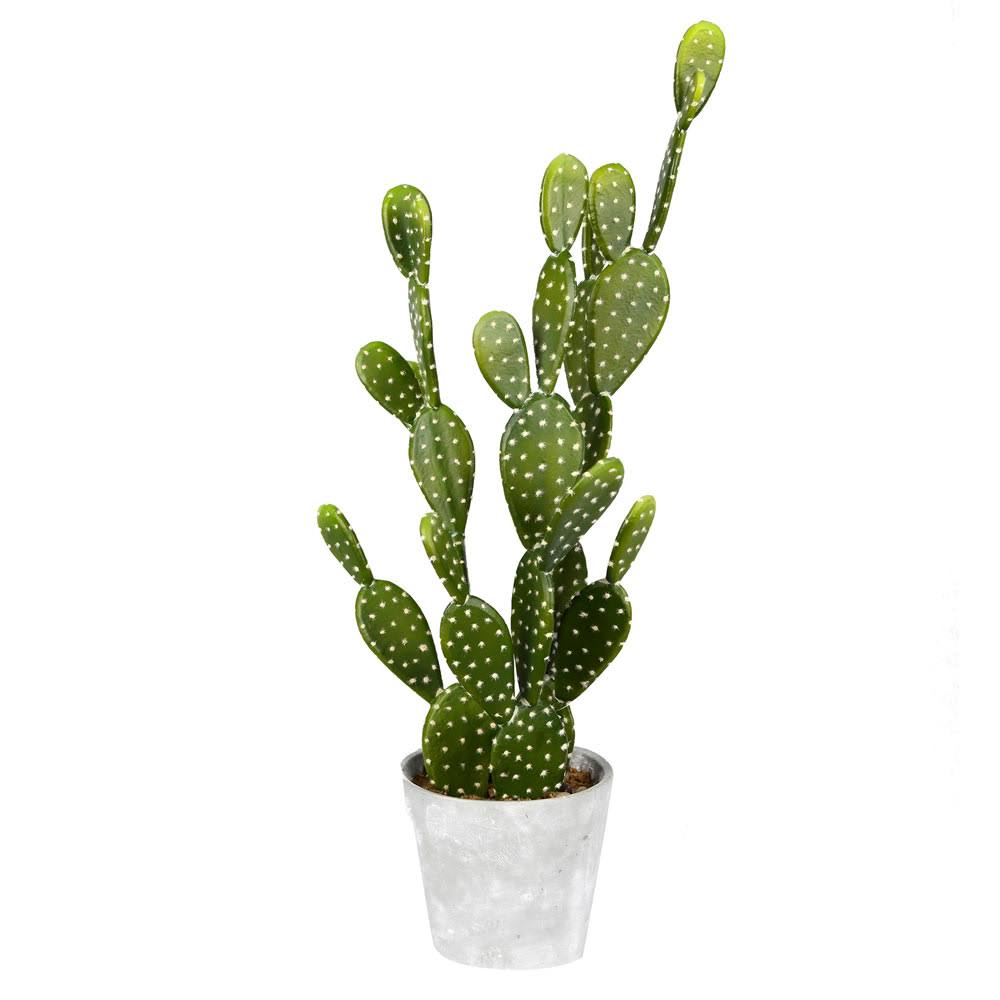 Vickerman Fh181701 29x22 Potted Cactus in Concrete Pot