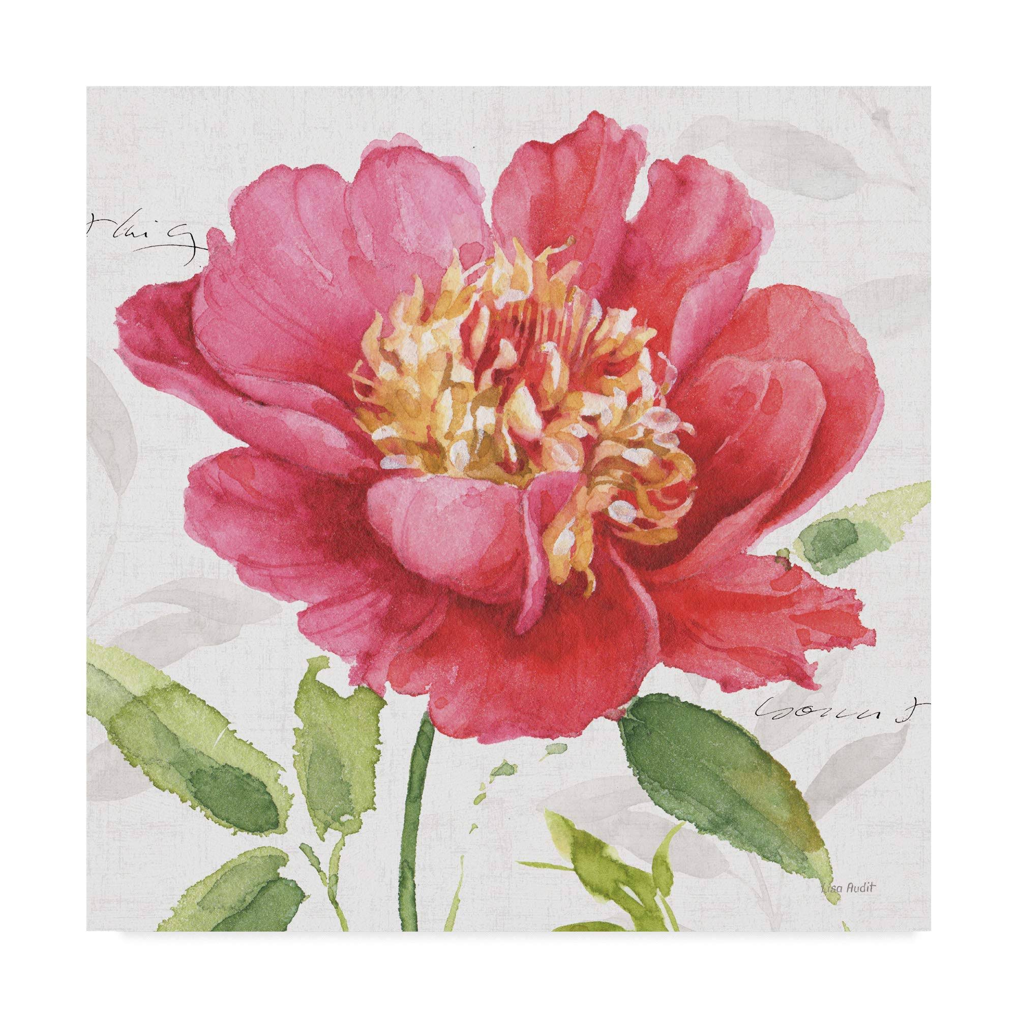 Trademark Fine Art Wap07703-C1818Gg Lisa Audit &Pink Garden II& Canvas