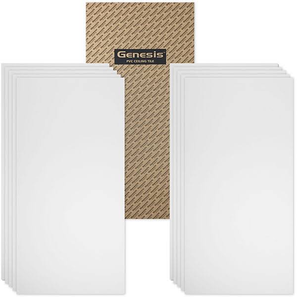 Genesis 2ft x 4ft Smooth Pro White Lay in Ceiling Tile, Case of 10
