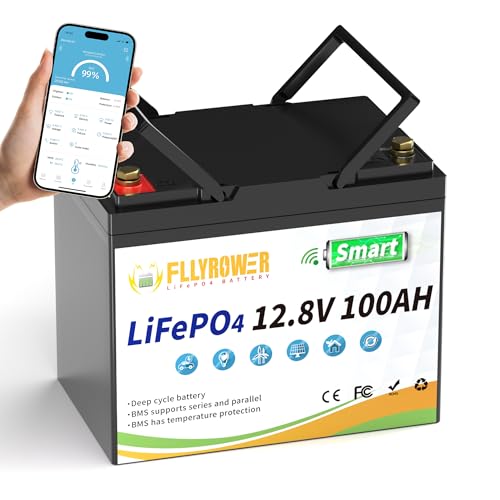 FLLYROWER 12V Lithium Battery 100AH With BMS and 16500 Deep Cycles 12V 100AH Lifepo4 Battery Grade A Cells for Marine Trolling Motor RV camping Solar