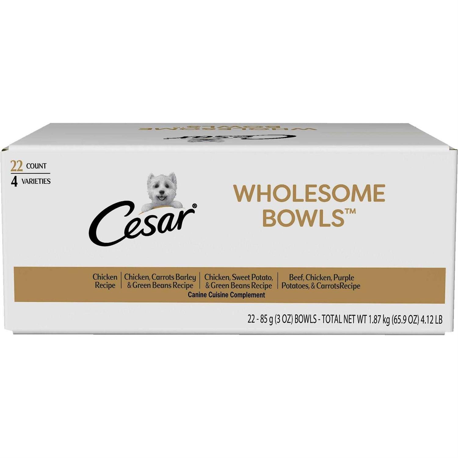 Cesar Wholesome Bowls Wet Dog Food - Pet Supplies online store