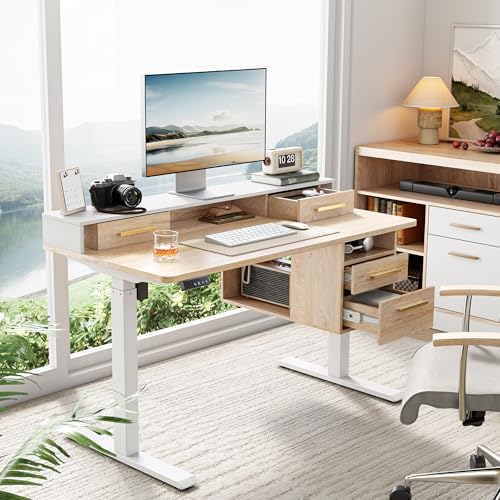 Standing Desk with 4 Drawers, 47.2 x 23.6 Inch Whole Piece Height Adjustable Electric Sit Stand Desk
