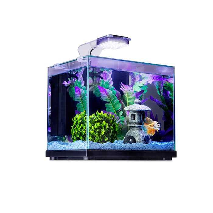 Imagitarium Glass Versa Aquarium - Pet Supplies online store