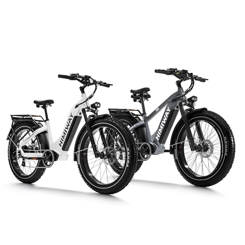 Himiway Zebra D5 Electric Bike, 750W Motor 48V 20Ah Removable Battery 80Miles Range E-Bike for Adults, 26x4 Tire 400lbs Payload, Hydraulic Brakes