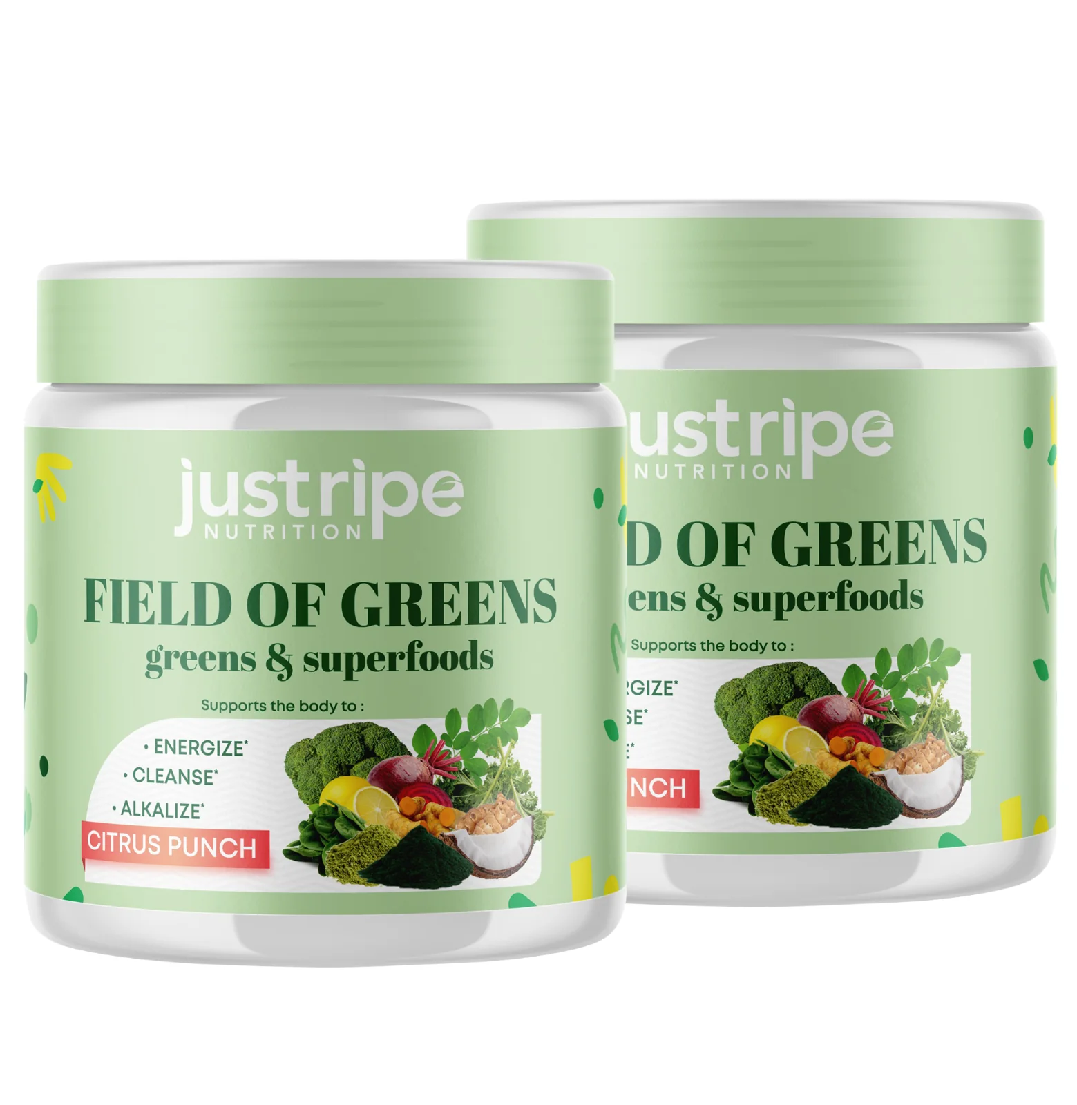 Field of Greens - Premium Organic Superfood Powder Blend, Made With Organic Fruits & Veggies Field of Greens - Premium Organic Superfood Powder Blend