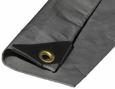 PTM 14x30 Extra Heavy Duty 12 Mil Silver Tarp Ply Coated Reinforced Canopy 6 oz 3 Layer Includes Tarps Tools and Toys Maintenanc