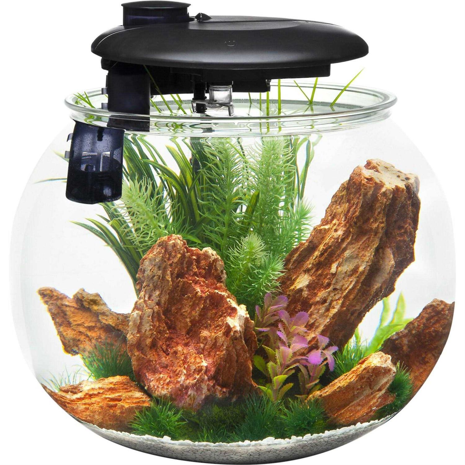 Penn-Plax AquaSphere 360 Polycarbonate Bowl-Shaped Aquarium 10 Gallon - Pet Supplies online store