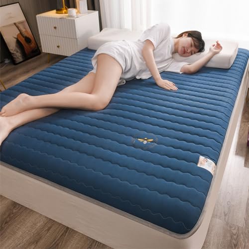 Japanese Futon Mattress Floor Mattress