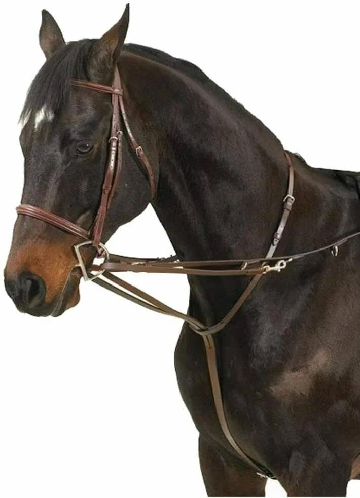 Camelot German Martingale Rein Brown