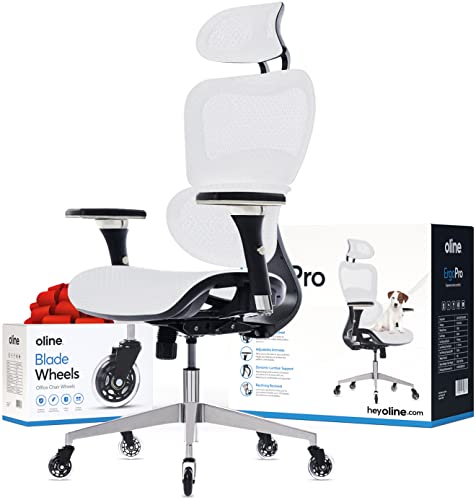 Oline ErgoPro Ergonomic Office Chair, Rolling Desk Chair with 4D Adjustable Armrest, 3D Lumbar Support, Blade Wheels