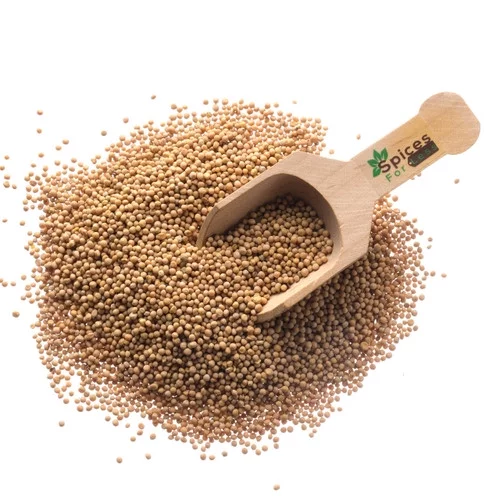 Mustard Seeds, Whole Yellow - 25 lbs - Kosher Certified