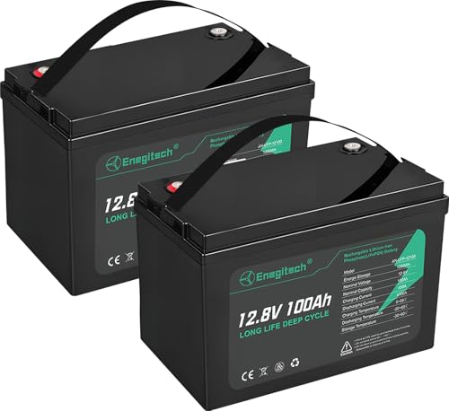 12V 100Ah LiFePO4 Lithium Battery, Up to 15000 Deep Cycles, Low-temp Protection, Ideal for RV, Marine, Trolling Motor, Solar/Wind