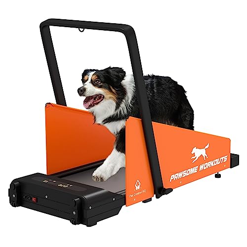 Dog Treadmill for Small and Medium Size Dogs - Pet Running Machine - Dog Pacer Training Pad