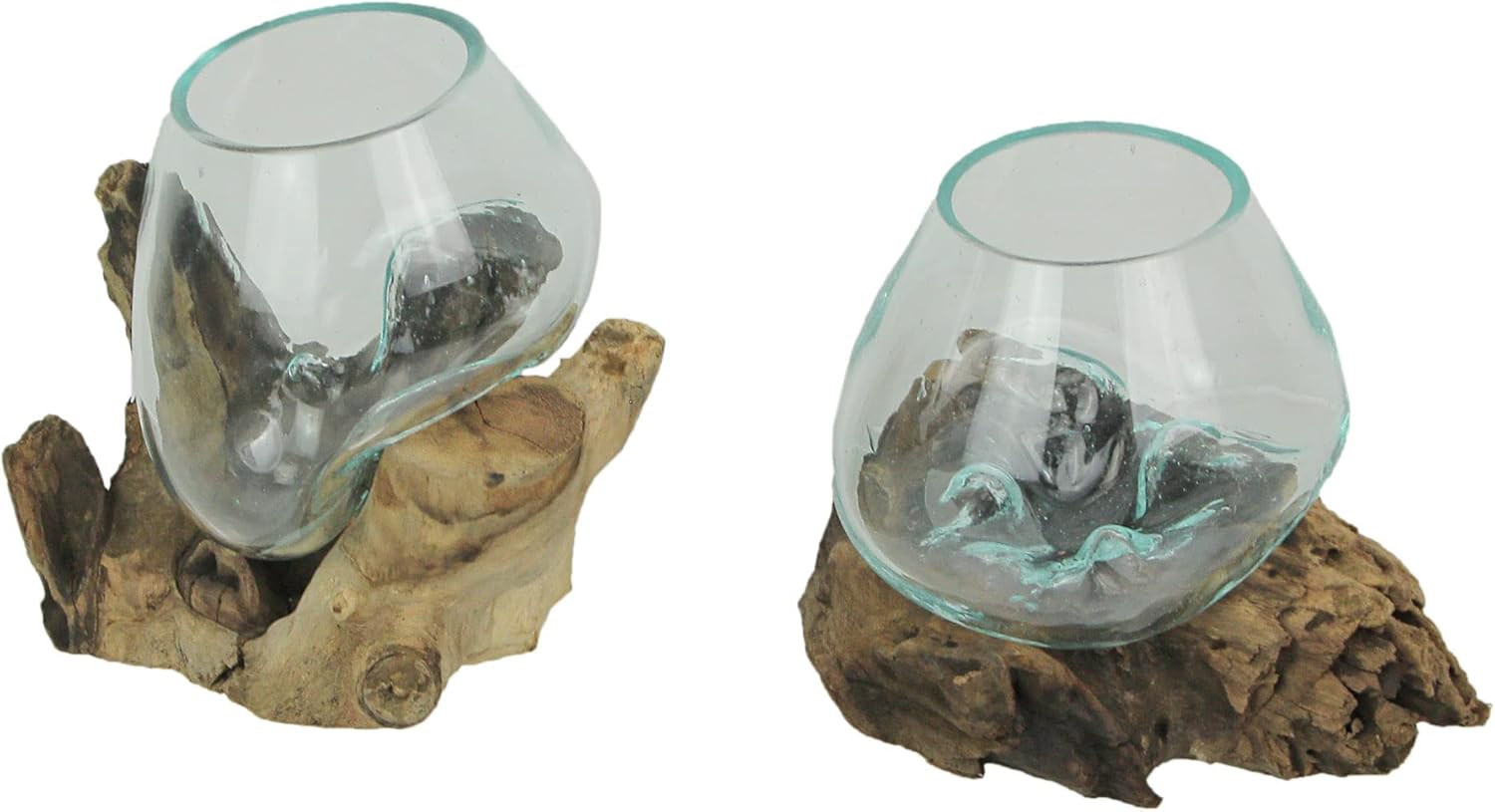 Set of 2 Glass and Teak Driftwood Decorative Bowls, Vases, and Terrarium Planters - Great for Bedrooms, Living Rooms and Offices