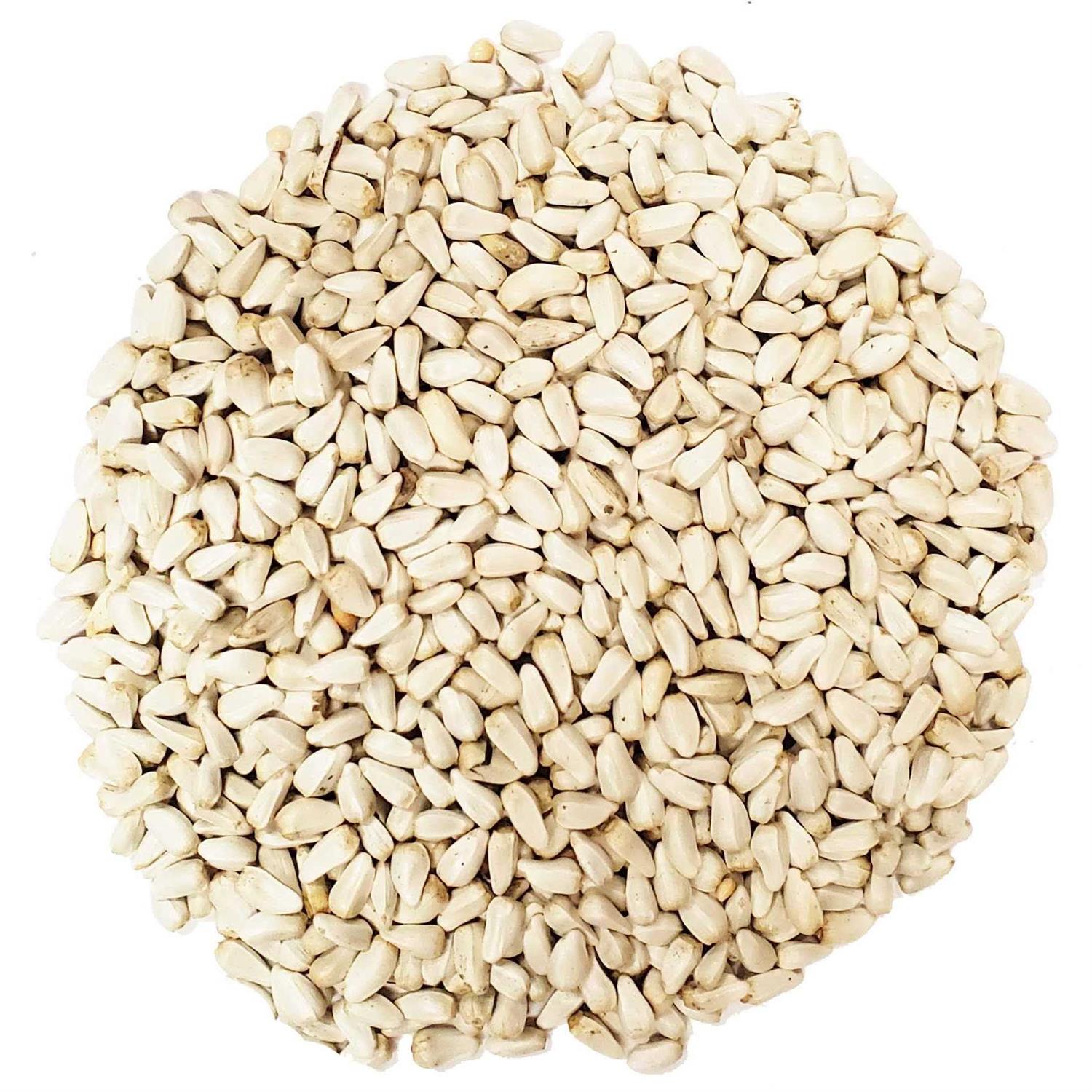 CountryMax Backyard Seeds Safflower Bird Seed for Cardinals - Pet Supplies online store