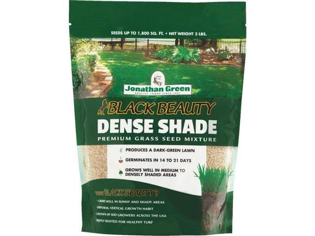 Jonathan Green 10600 Black Beauty Dense Shade Grass Seed Mixture, 3 lb