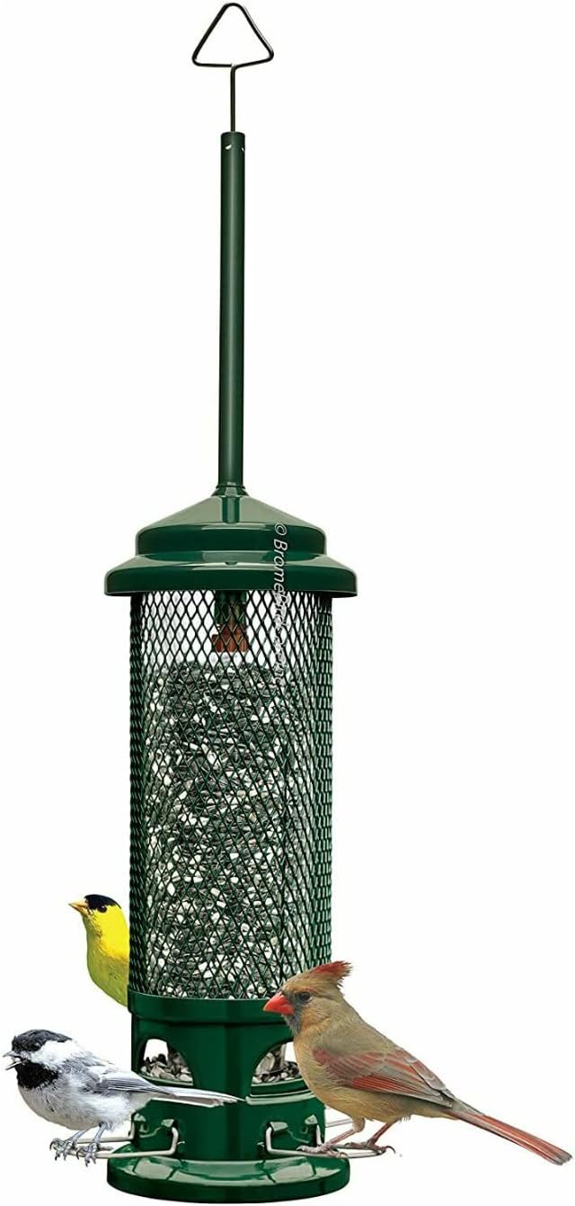 Squirrel Buster Legacy Squirrel-proof Bird Feeder w/4 Metal Perches, 2.6-pound Seed Capacity Pack of 2