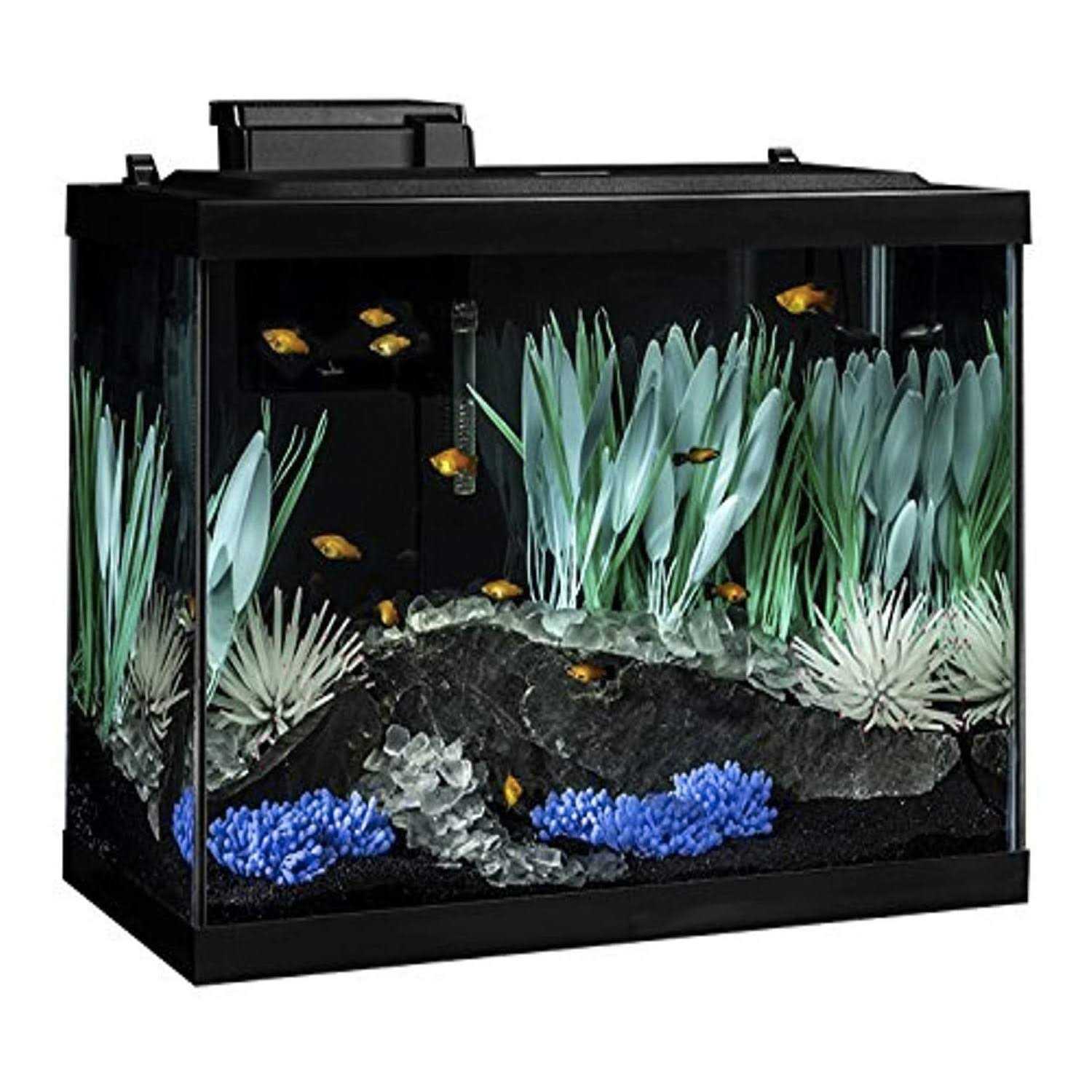 Tetra Colorfusion Aquarium 20 Gallon Fish Tank Kit Includes LED - Pet Supplies online store