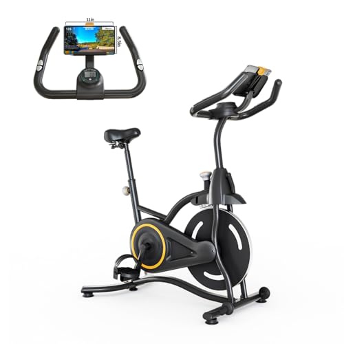 Exercise Bike,Stationary Bikes for Home,Adjustable Workout Bike, Professional Exercise Bikes for Home