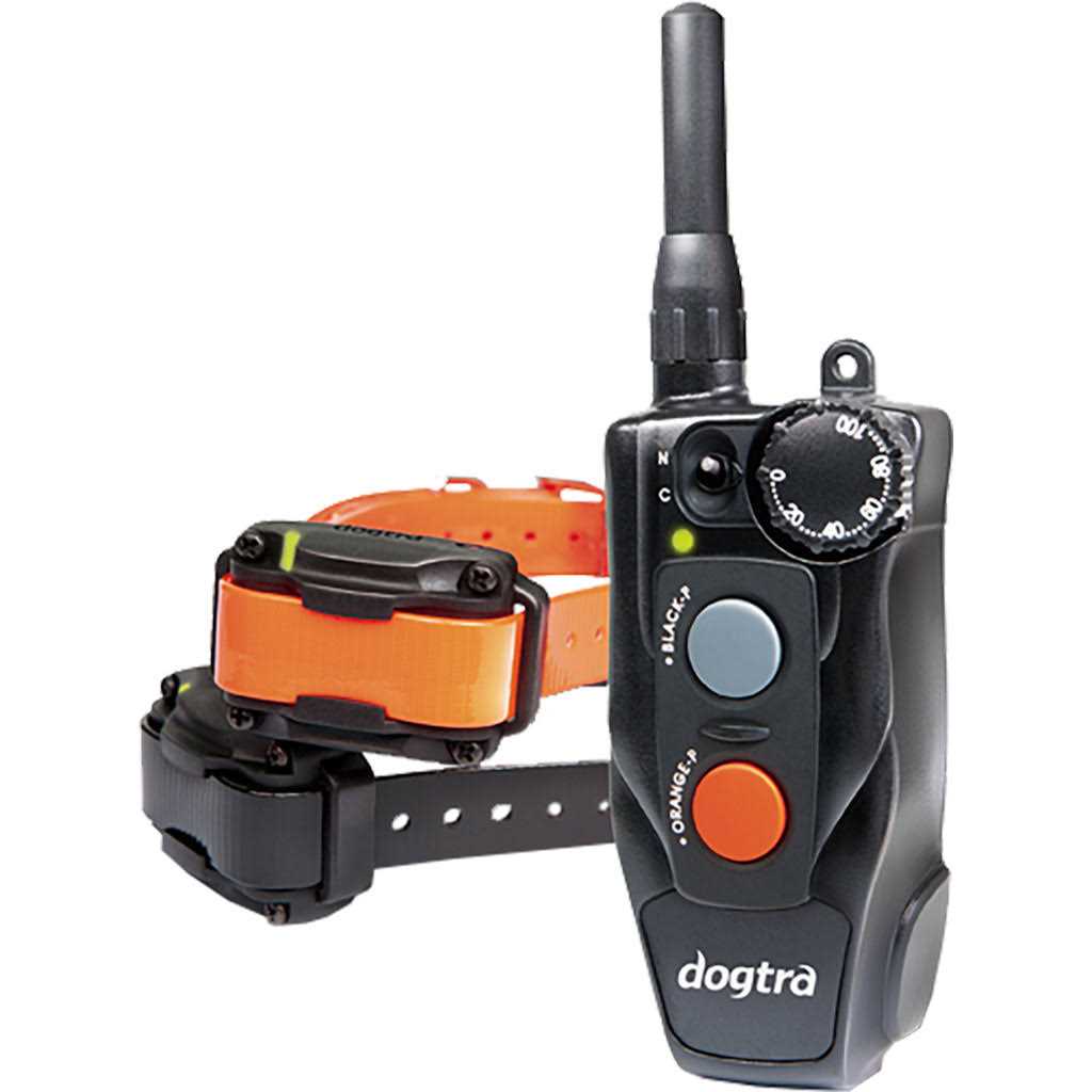 Dogtra Remote Training Collar 2-Dog 202C - Pet Supplies online store