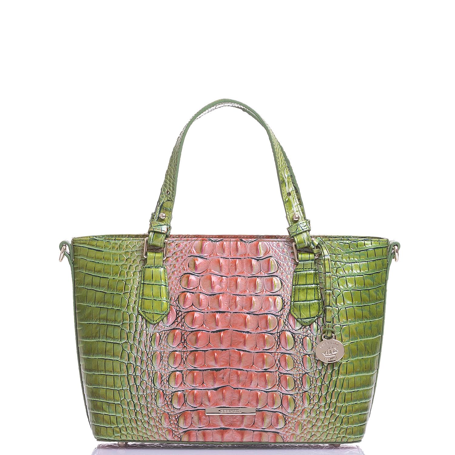 Brahmin Mini Misha Prowl Ombre Melbourne - Watermelon Ombre