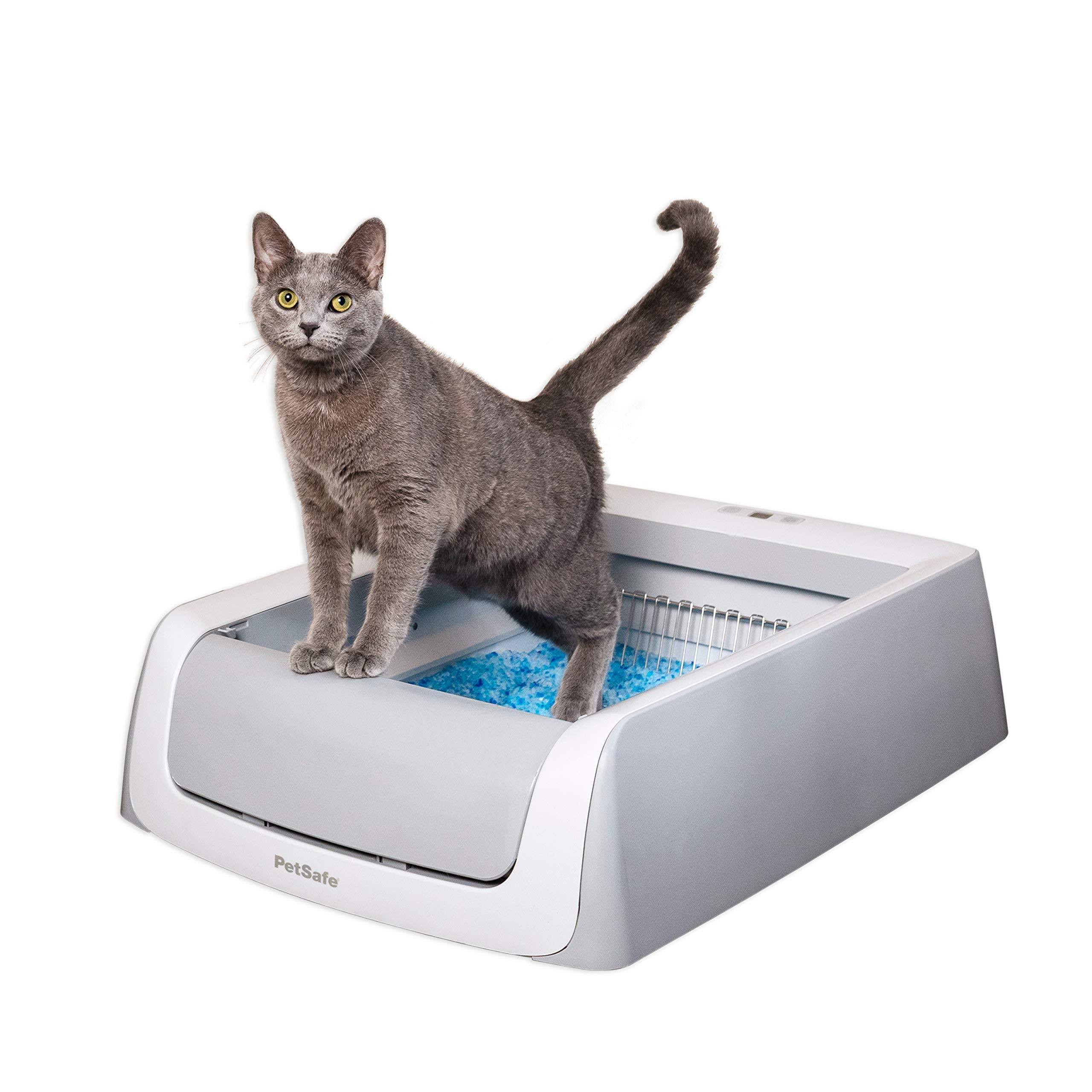 ScoopFree Automatic Self-Cleaning Cat Litter Box