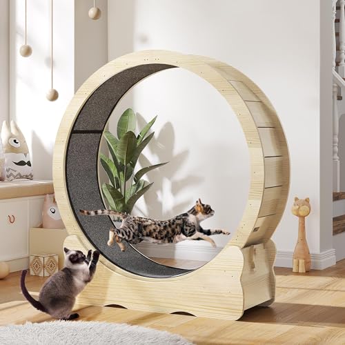DWVO Cat Wheel Exerciser for Indoor Cats, 43.3 Inch Solid Wood Cat Exercise Running Wheel with Carpeted Runway