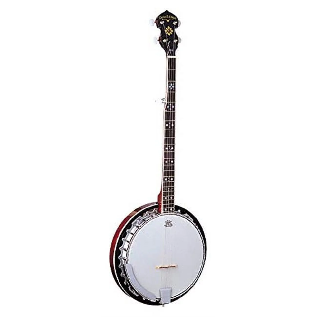 5-String Electric Banjo - Curated Treasures Market
