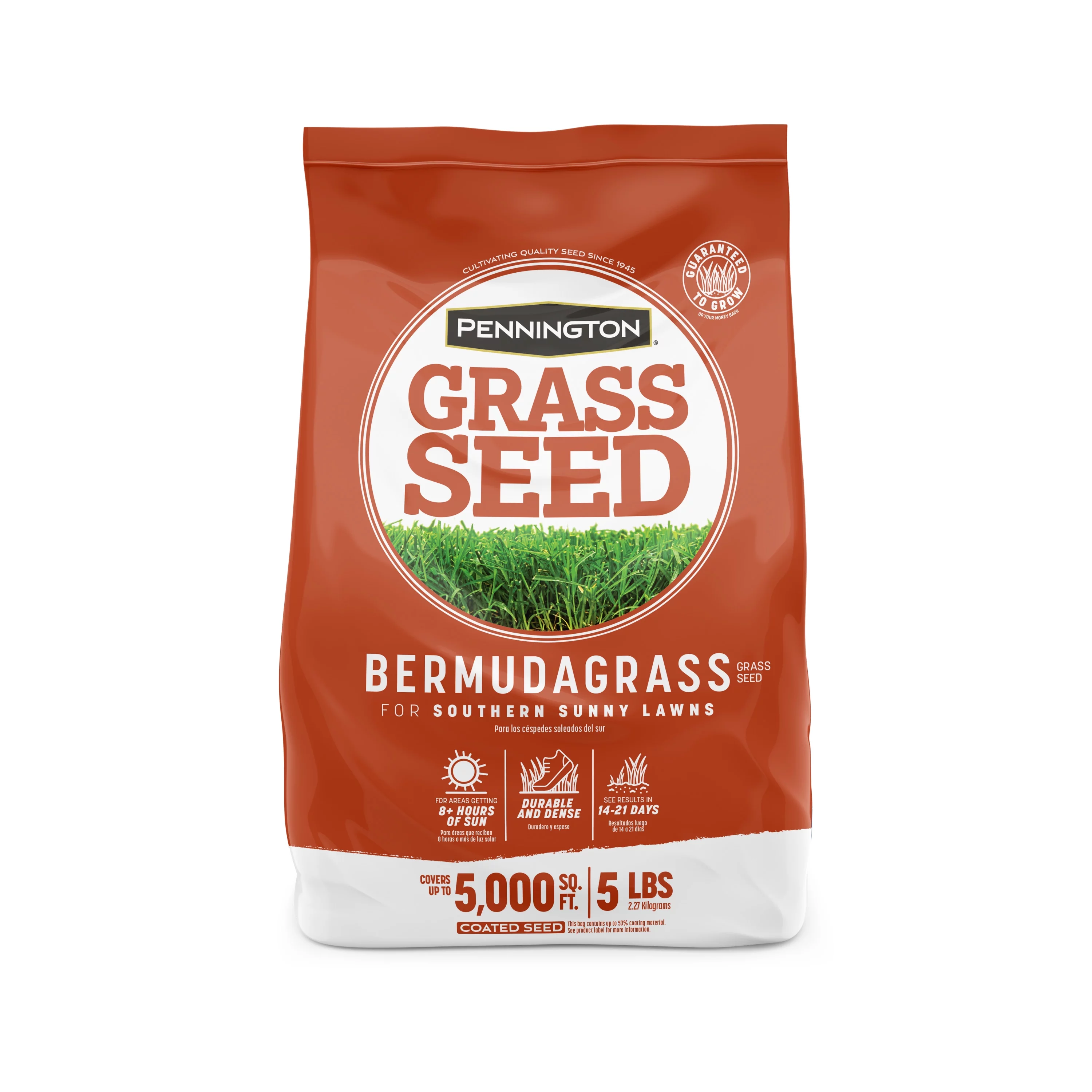 Pennington Sahara Bermudagrass Southern Grass Seed, for Full Sun, 5 lb.