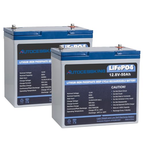 12V 100Ah BCI Group 24 LiFePO4 Battery, 100A BMS Rechargeable Mini Lithium Battery with Low-Temp Protection, Up to 15000 Cycles Perfect for RV
