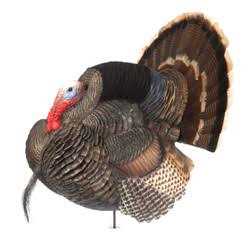 Dave Smith Decoys Strutter Turkey Decoy - Sports Supplies Online Store