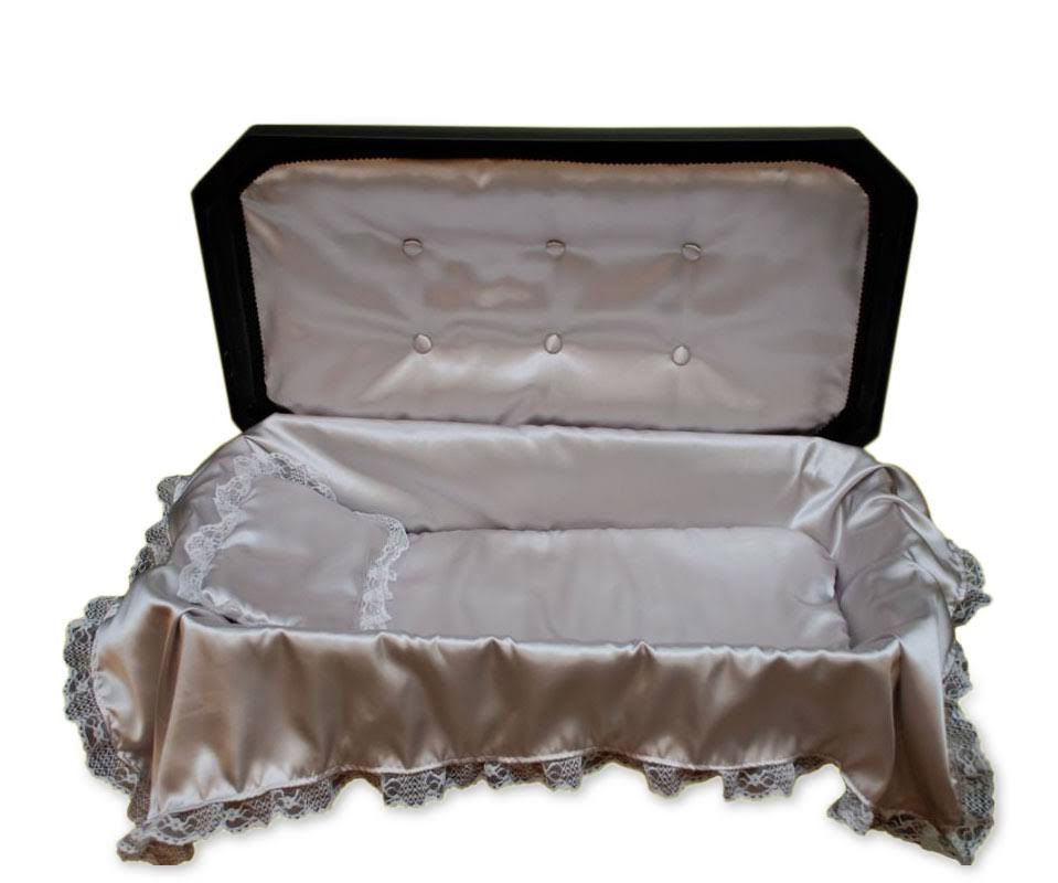 Black with Silver Deluxe Pet Coffin for Cat Dog or Other Pet - Small