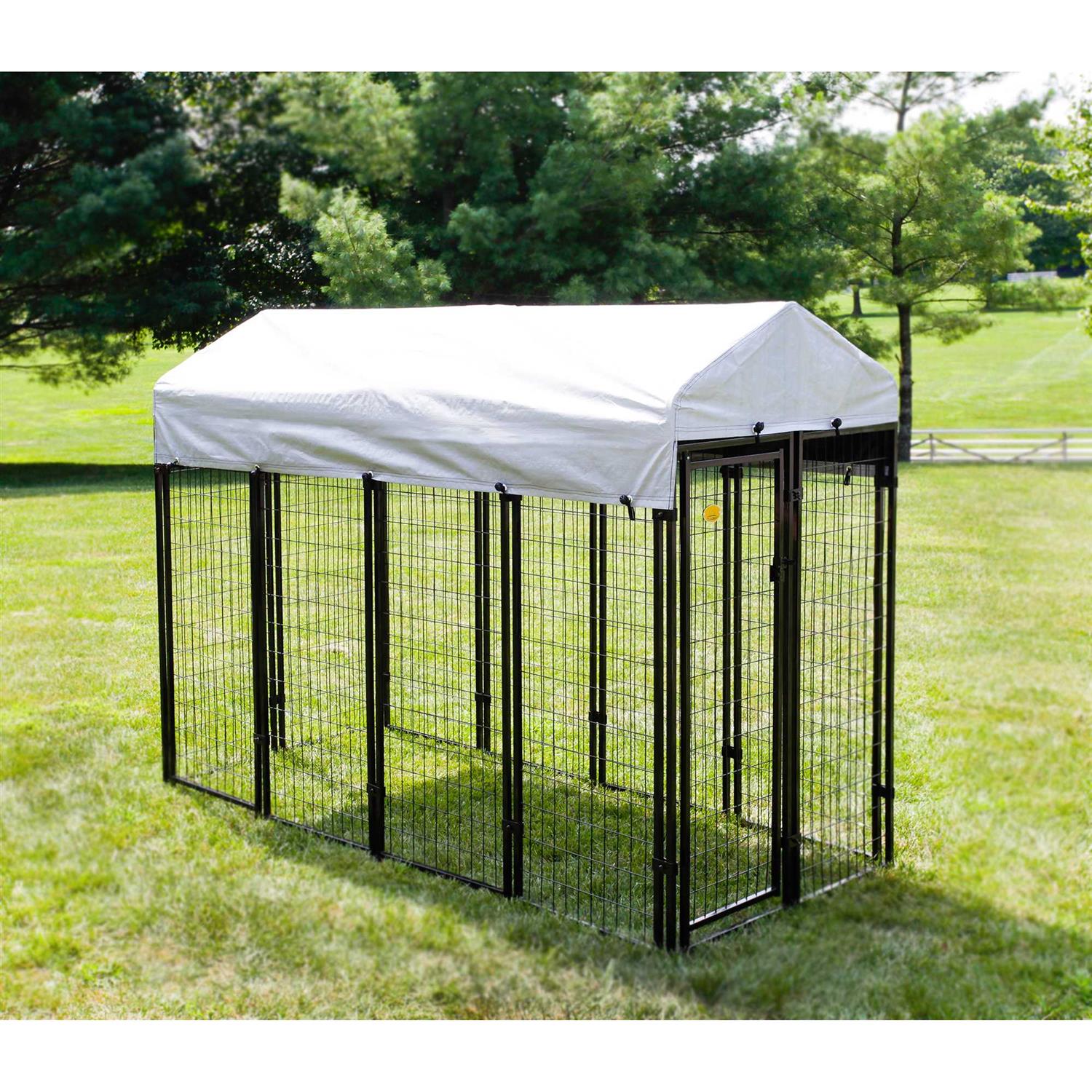 Kennelmaster Black Welded Wire Dog Kennel, 8 ft. x 4 ft. x 6 ft, Size: 96 inch x 48 inch x 72 inch - Pet Supplies online store