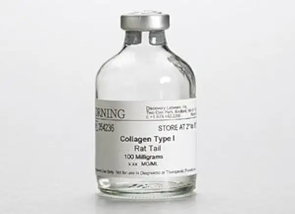 Corning Collagen I- Rat Tail- 100 mg, EA1 - Kansas Nuitrition - HNZSDS